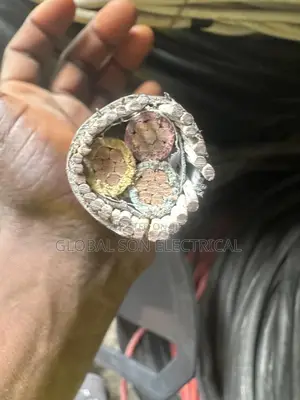 3x25mm Armored Cable