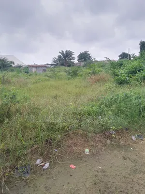 Buy 6 Plots And Get One For Free In Aniocha North