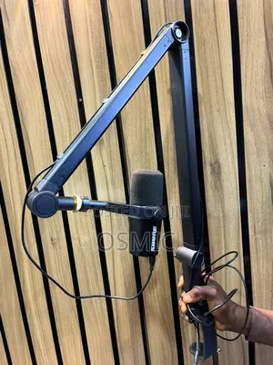 Shure Audiomax Mic