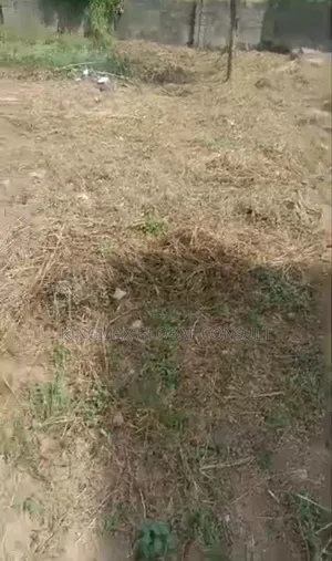 Land for Sale in Apo - 2000 Sqms, Cofo