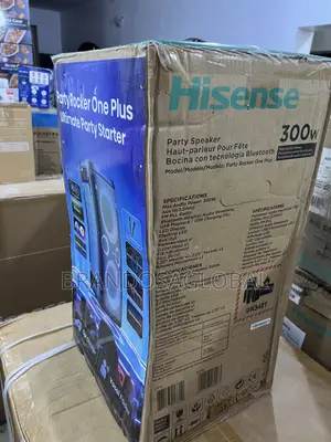 Hisense 300w Party Rocker Aud110hp With Long-Lasting Components