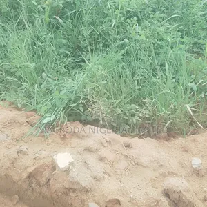 Land Selling at Jabita,Ikoyi