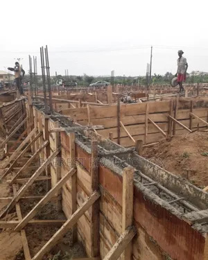 Building Construction Expert