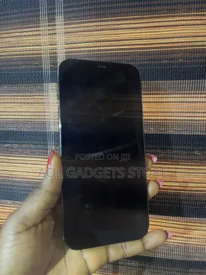 Apple iPhone 12 Pro Max 256 GB Blue