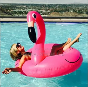 Flamingo Floater