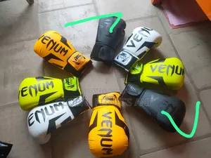 Boxing Gloves Venum