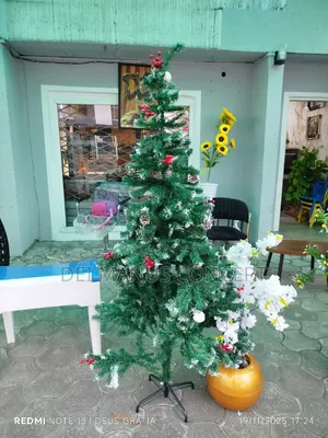 Christmas Tree for Christmas Decorations