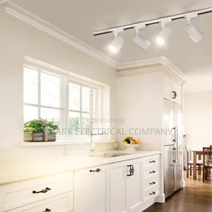 All in One Color Track Light for Home Track Lighting 3 In1 Color