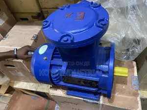 Explosion Proof Motor