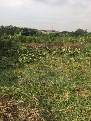 Land Property for Sale in Okeira, Ogba, Ikeja