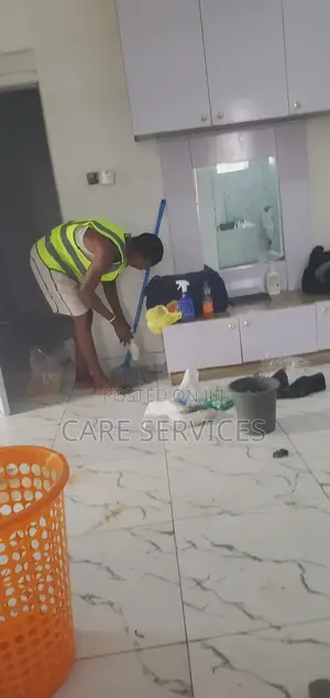 Apartment Cleaning/Stain Removal/Toilet Cleaning