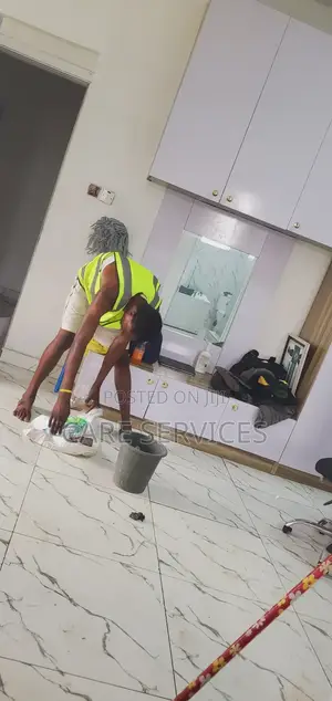 Apartment Cleaning/Stain Removal/Toilet Cleaning