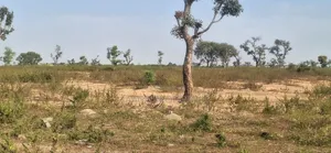 54ha Kyami Strategic Mixed Used Plot for Sale