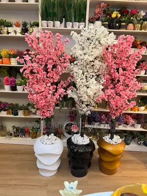 Blossom Plant In Fibre Pot