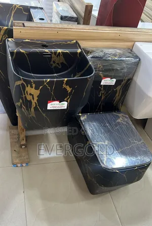 Executive Water Closet With Wall Hung Basin Available