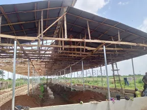 Poultry Consultant and Construction