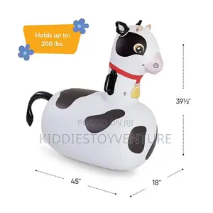 Inflatable Ride On