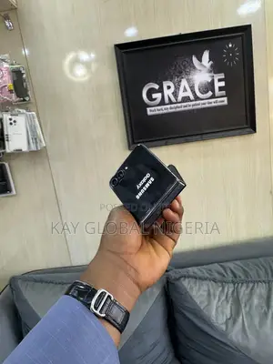 Samsung Galaxy Z Flip 5 256 GB Gray