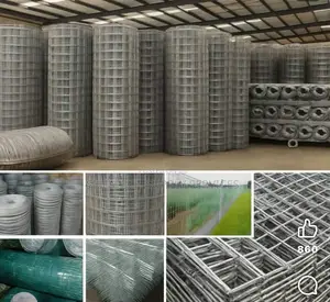 Wire Mesh of All Types