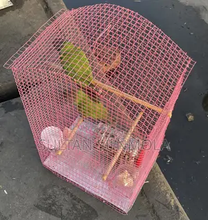 Parrot Cages