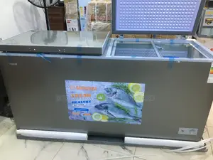 Snowsea 420 L Freezer – Double Door, Value for Money