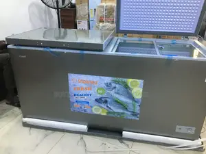 Snowsea 420 L Freezer – Double Door, Low Noise