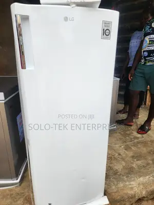 Lg Upright Standing Freezer