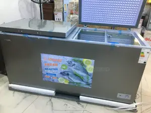 Snowsea 420 L Double-Door Freezer – Wholesale Price Available