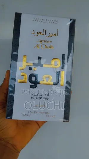 Ameer Al Oudh