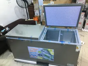 Snowsea 420 L Freezer – Double Door, Excellent Performance