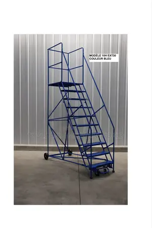 Platform Trolley Ladder