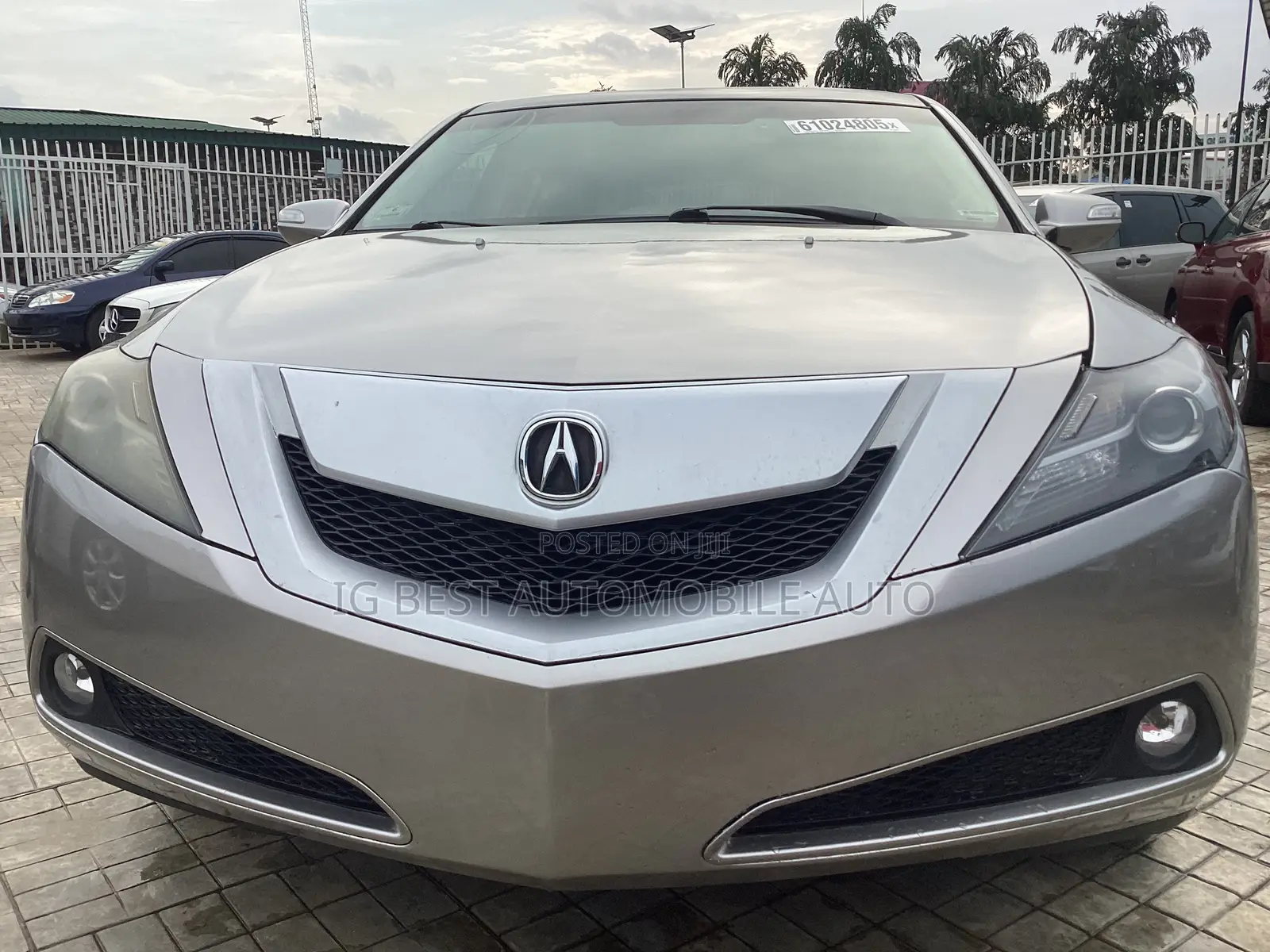 Acura ZDX 2011 Gray