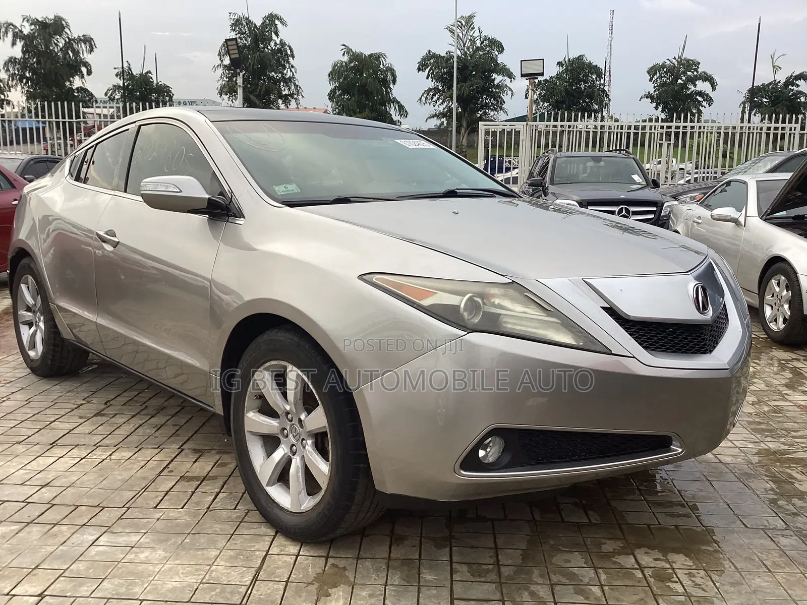 Acura ZDX 2011 Gray