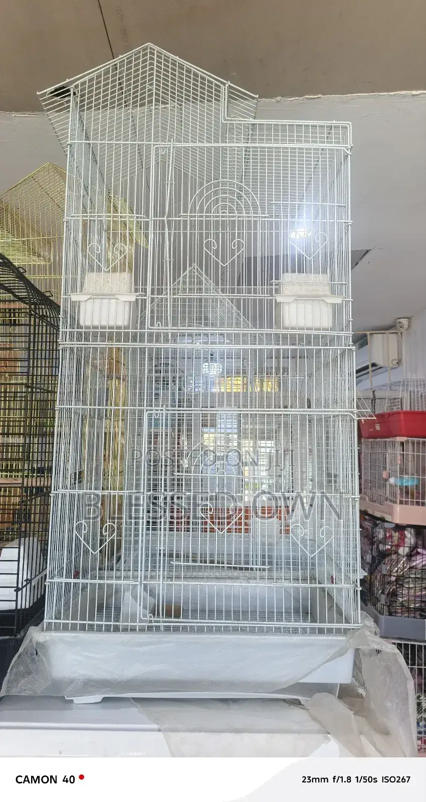 Imported Luxury Parrots Cages