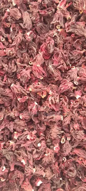 Hibiscus Flower