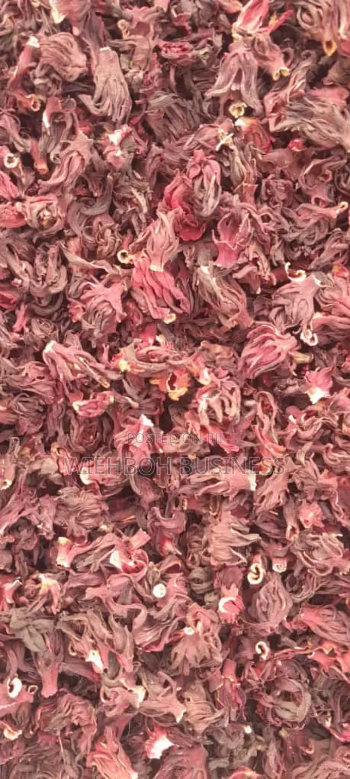 Hibiscus Flower