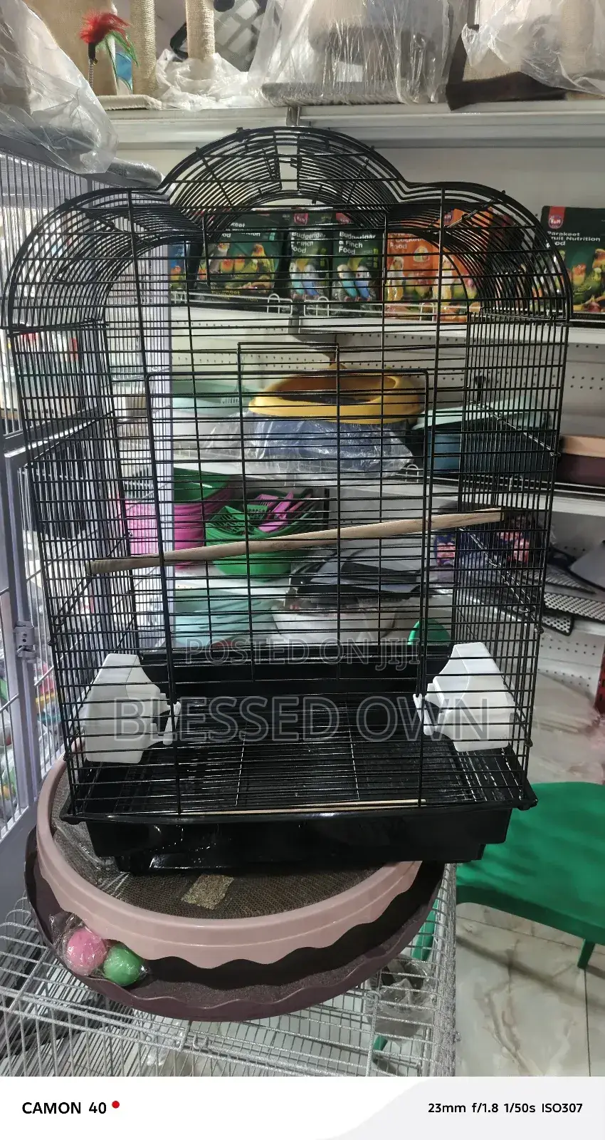 Imported Parrots Cages