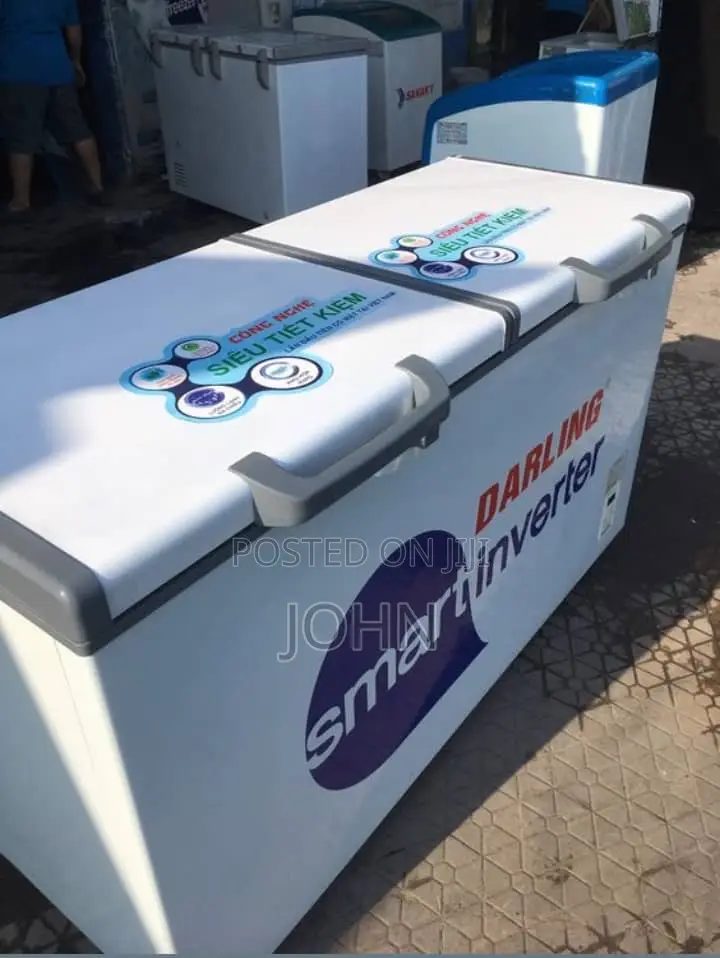 Double Door Inverter Deep Freezer 300l