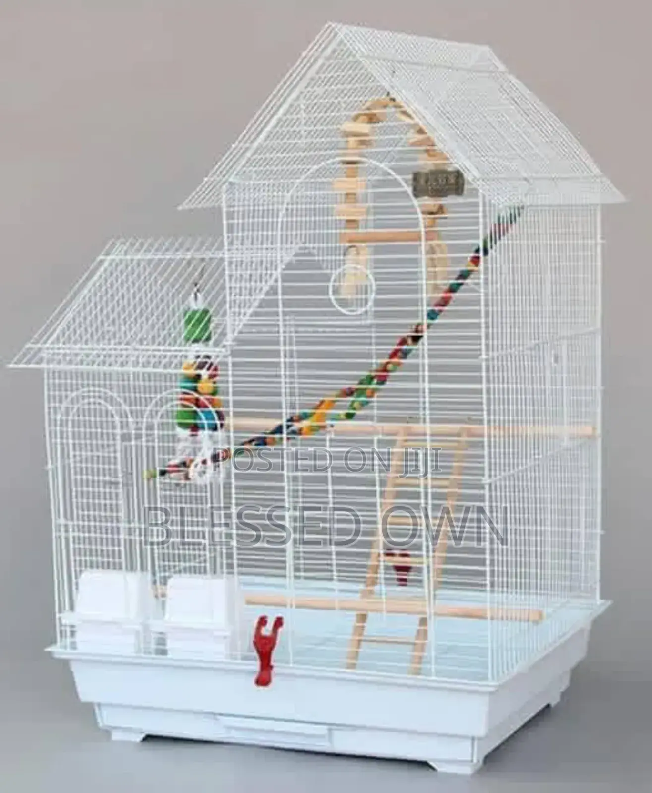 Imported Birds Cages Are Available
