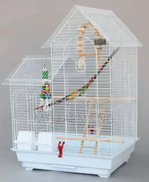 Imported Birds Cages Are Available
