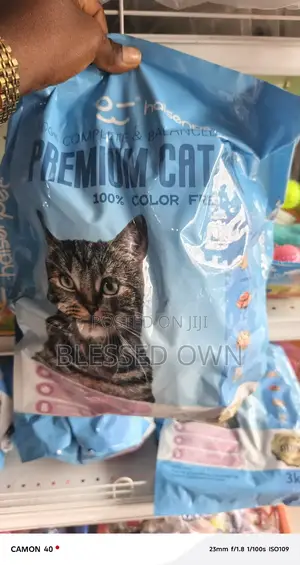 Cats Feeds Are Available