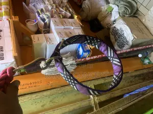 Dog Collar Patterned Fabric Design