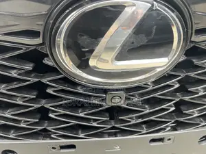 Lexus RX 2023 Gray