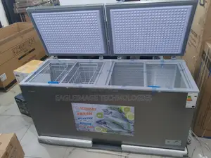 New Snowsea 520l - Double Door Design for Organized Freezing