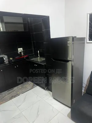 Furnished Mini Flat in Lekki Garden for rent
