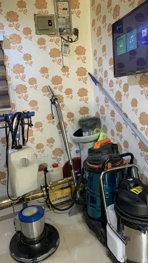 Professional General Cleaning Services (Upholstery Washing Etc.)