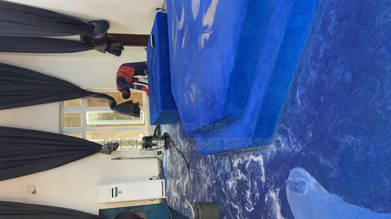 Professional General Cleaning Services (Upholstery Washing Etc.)