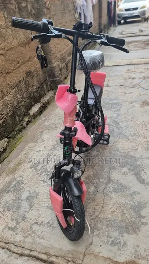 Huimao Electric Bicycle