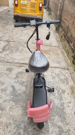 Huimao Electric Bicycle