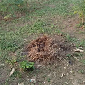 Land Selling Now